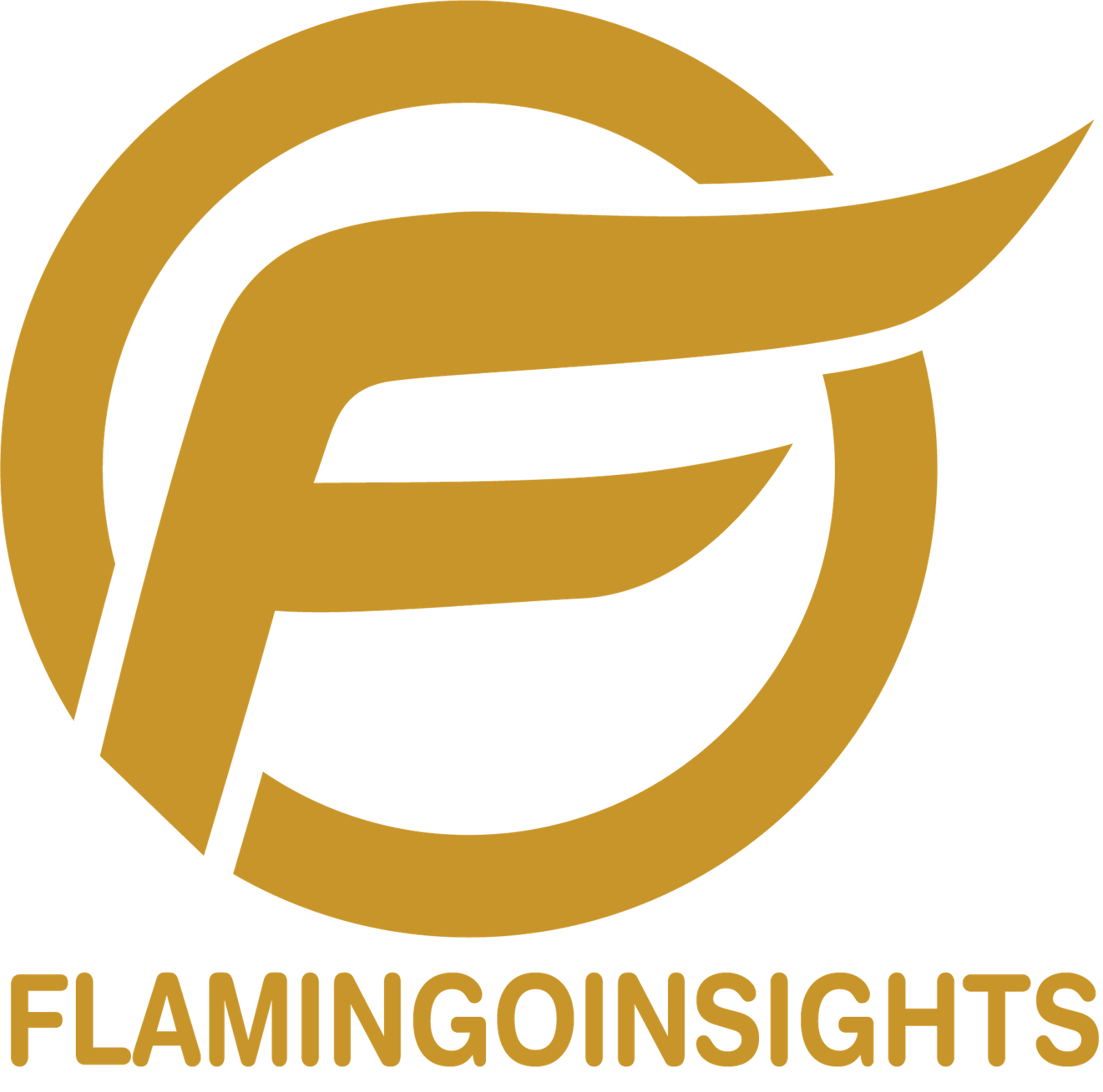 Flamingo Insights