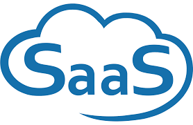 Saas agency in delhi